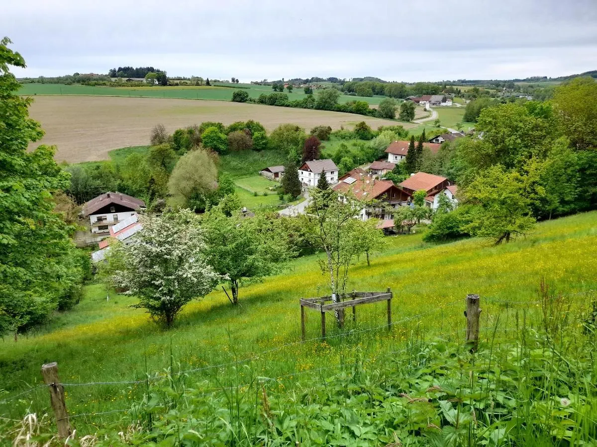 Appartement Ferienwohnung In Bad Griesbach - Alpenblick